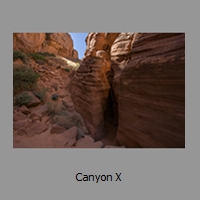 Canyon X